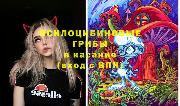 сатива Арсеньев
