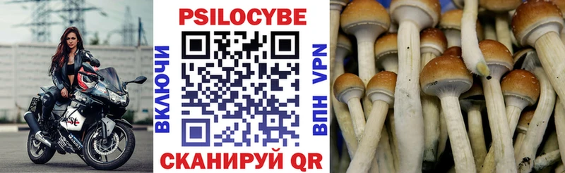 Галлюциногенные грибы Psilocybe  Вилючинск 